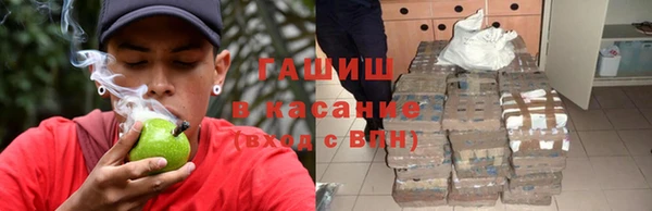гашик Гатчина
