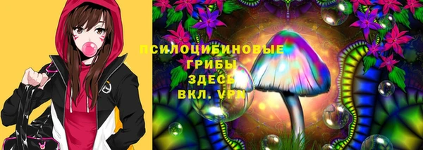 винт Абинск