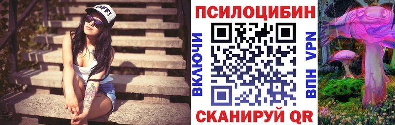 сколько стоит  Киржач  Псилоцибиновые грибы прущие грибы 