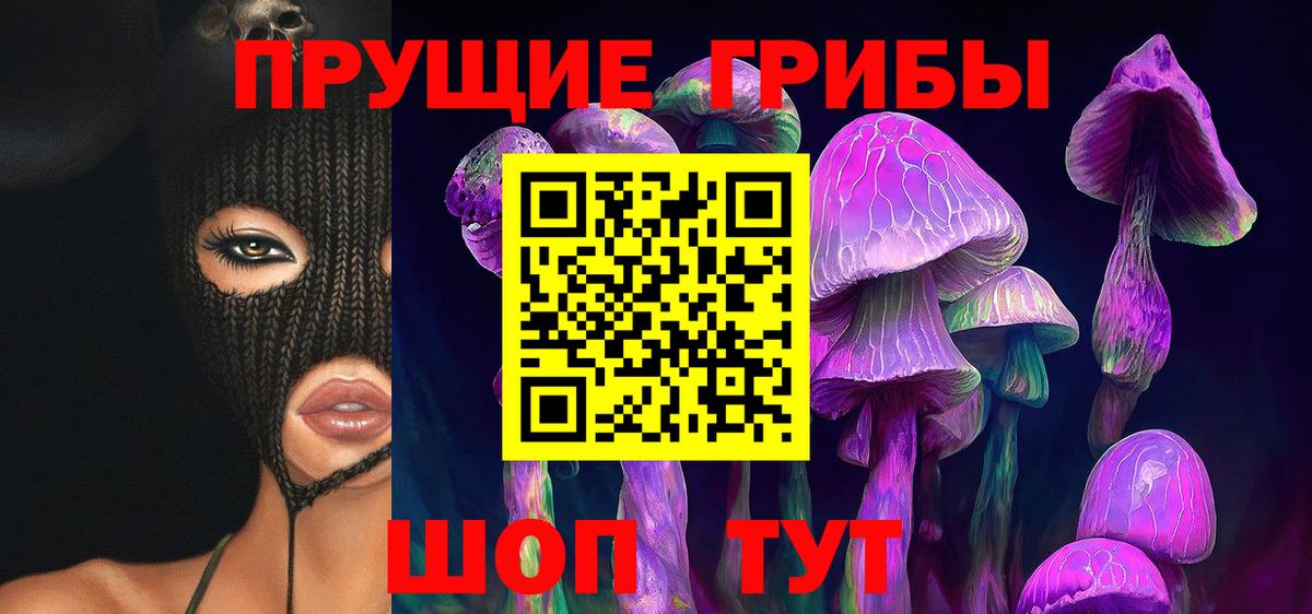 Псилоцибиновые грибы Psilocybine cubensis Киржач